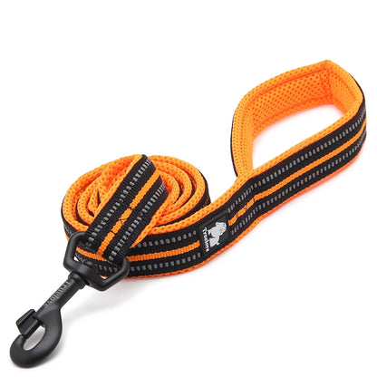 Dog Leash with Padded Handle Training