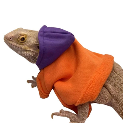 Bearded Dragon Sweater Jackets, Warm Coat Hoodies, Soft Touching Skin