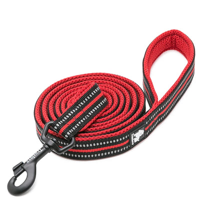 Dog Leash with Padded Handle Training