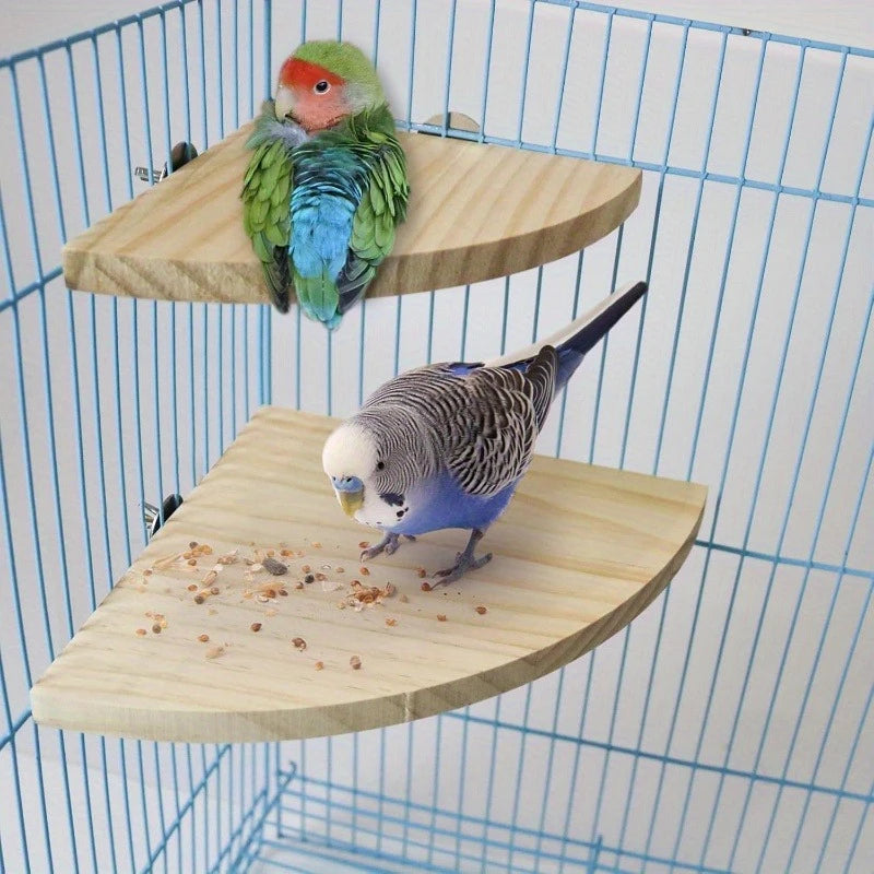 Parrot Wooden Stand