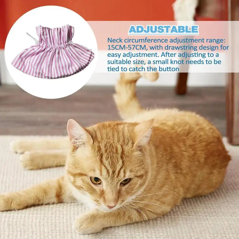 Soft Collar For Cats Recovery