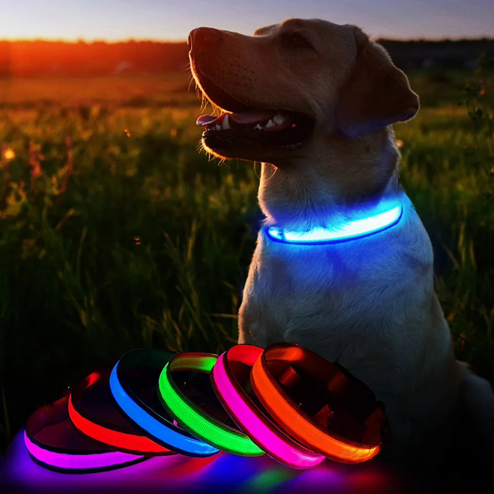 Dog Luminous Collar , Waterpoof Safety