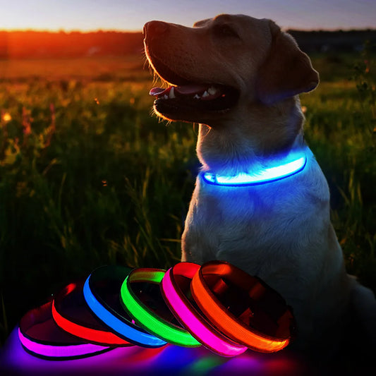 Dog Luminous Collar , Waterpoof Safety