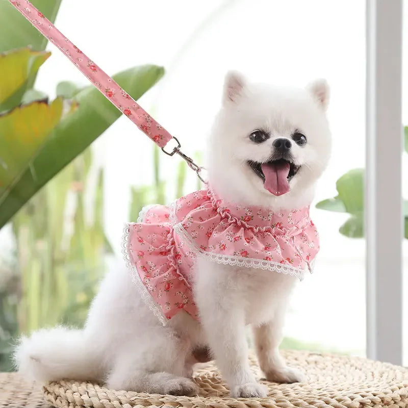 Dog Harness Leash Set,  Adjustable Lace, Floral Printed Pet Harness, Vest, Cute Dog Clothes, Puppy Mesh Harness, Dog Accessories