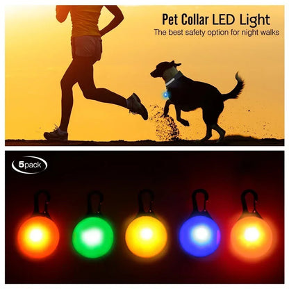 Usb Charging Glowing Dog Collar With Pendant Detachable , Luxury Led Light Bright For Small Dogs Night Safety Collar Wholesale