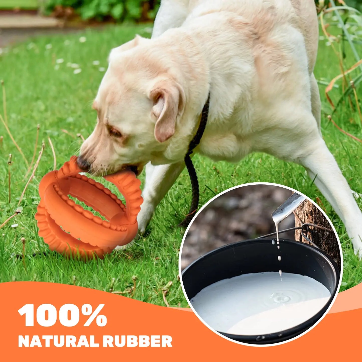 Interactive Dog Toys Detachable, Tug of War Toy