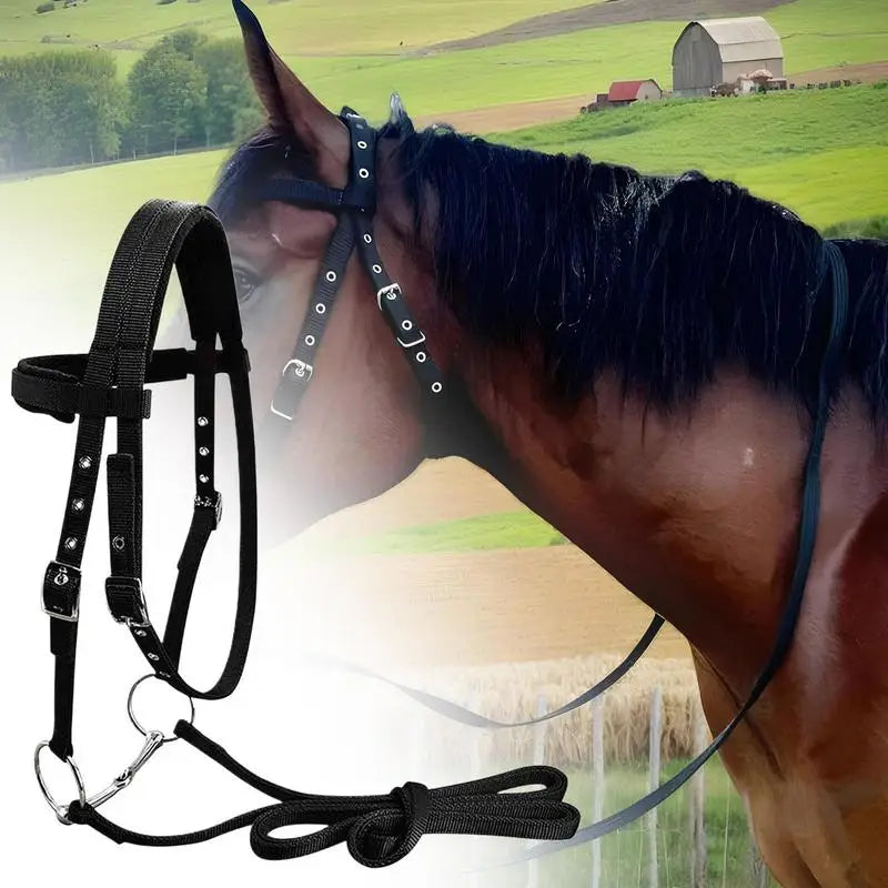 Adjustable Horse Halter Throat Latch For Horse Bridle With 3 Buckles