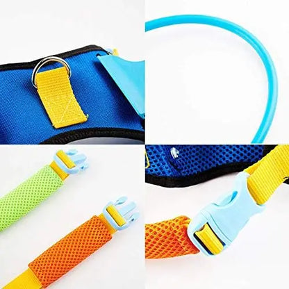 Protect your pet with Blind Dog Harness Vest – Safe Guide for Vision Loss & Collisions