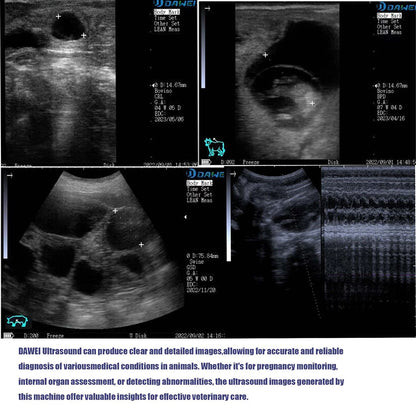 Handheld Vet Ultrasound Machine for Small Pet Dogs and Cats