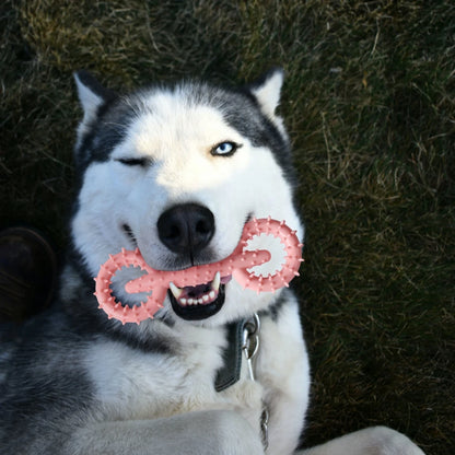 Teeth Cleaning Pet Chewing Toys