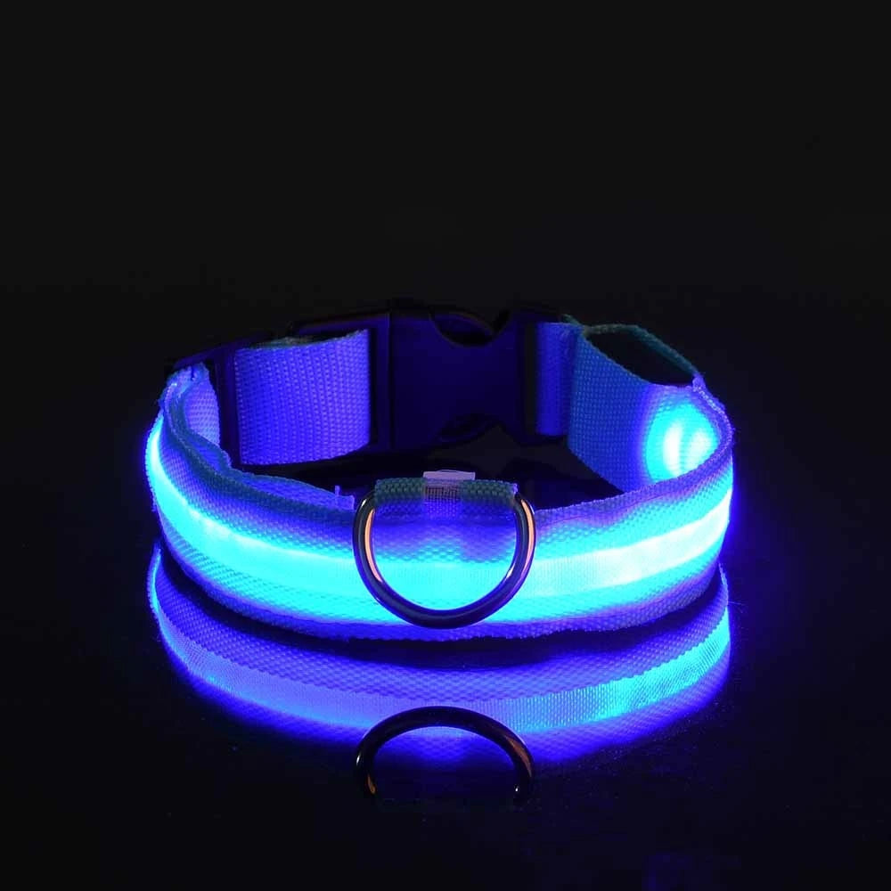 Nylon LED Night Safety Flashing Dog Leash, Glow in The Dark Luminous Fluorescent Pet Collar for Dogs
