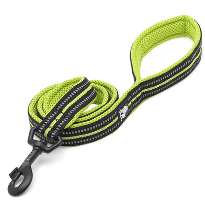 Dog Leash with Padded Handle Training