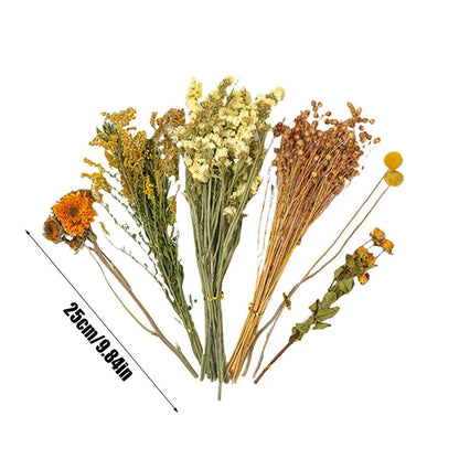 Nature Flower Herb Hamster Bedding, Decor Hamster Cage,  Supplies For Hamsters,  Gerbil,  Rabbits, or Other Small Pets