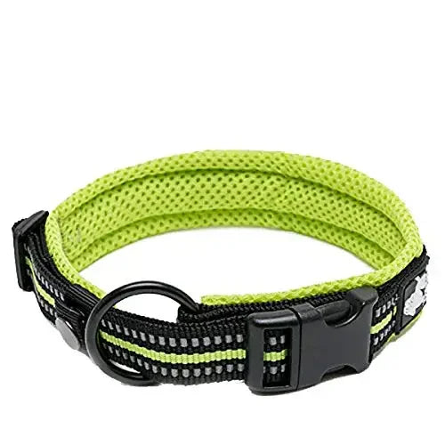 Durable Heavy Duty Training Custom Luxury Collar