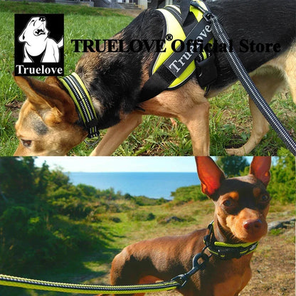 Durable Heavy Duty Training Custom Luxury Collar