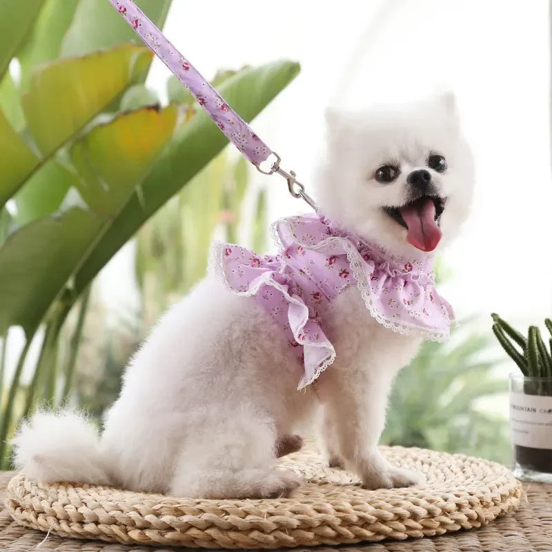 Dog Harness Leash Set,  Adjustable Lace, Floral Printed Pet Harness, Vest, Cute Dog Clothes, Puppy Mesh Harness, Dog Accessories