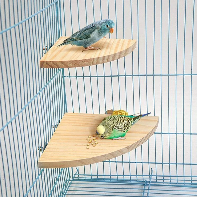 Parrot Wooden Stand