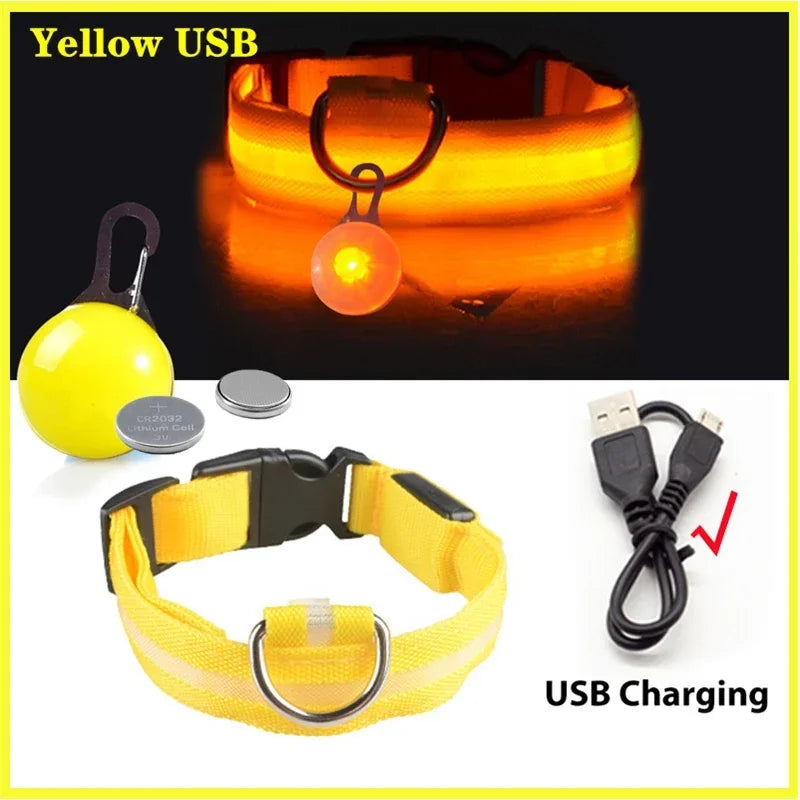 Usb Charging Glowing Dog Collar With Pendant Detachable , Luxury Led Light Bright For Small Dogs Night Safety Collar Wholesale