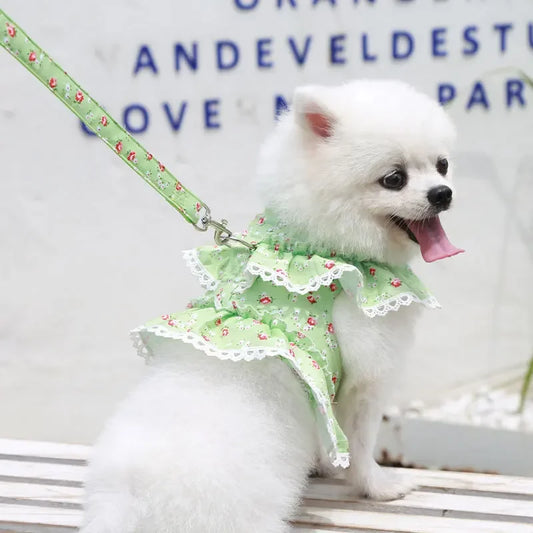 Dog Harness Leash Set,  Adjustable Lace, Floral Printed Pet Harness, Vest, Cute Dog Clothes, Puppy Mesh Harness, Dog Accessories
