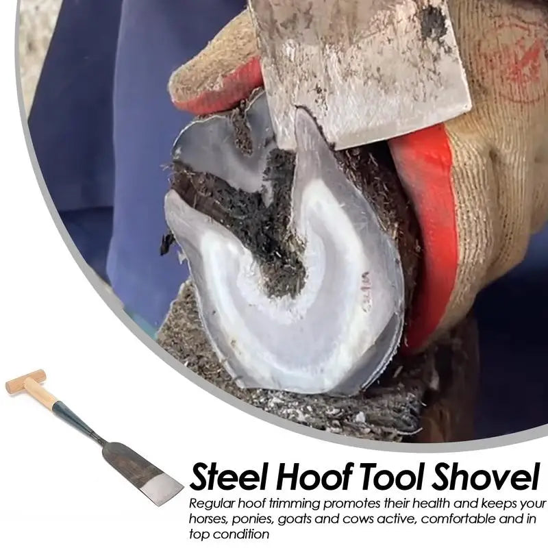 Versatile Horse Hoof Trimming Tools