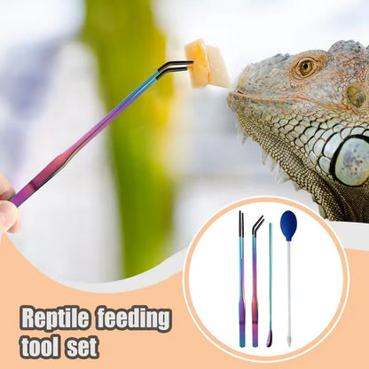 Reptile feeding tool set, efficient feeding, rubber head tweezers, feeding spoon, Reptile Accessories for geckos, bearded dragons