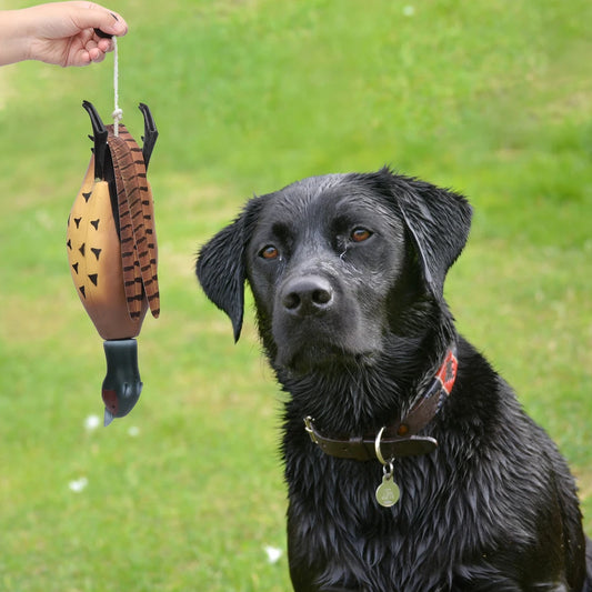 Pheasant Dummy Bumper Toy for Hunting Retriever Dogs