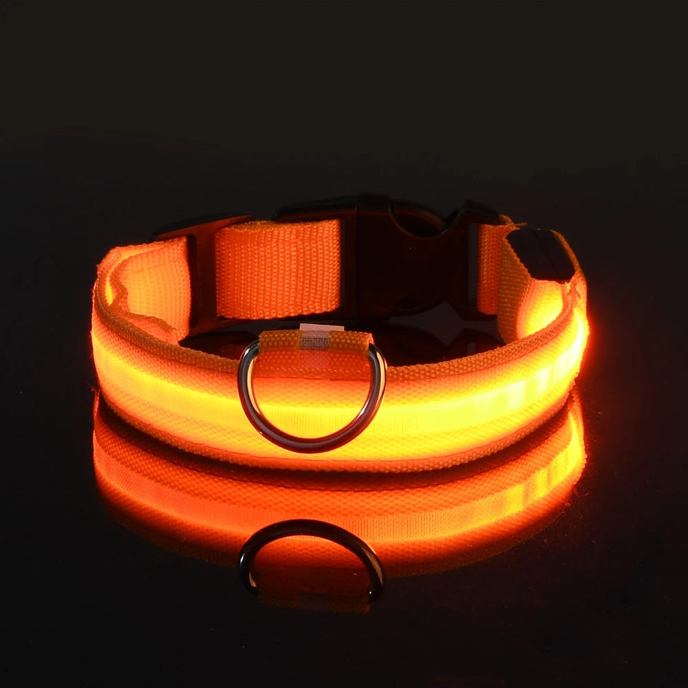 Nylon LED Night Safety Flashing Dog Leash, Glow in The Dark Luminous Fluorescent Pet Collar for Dogs