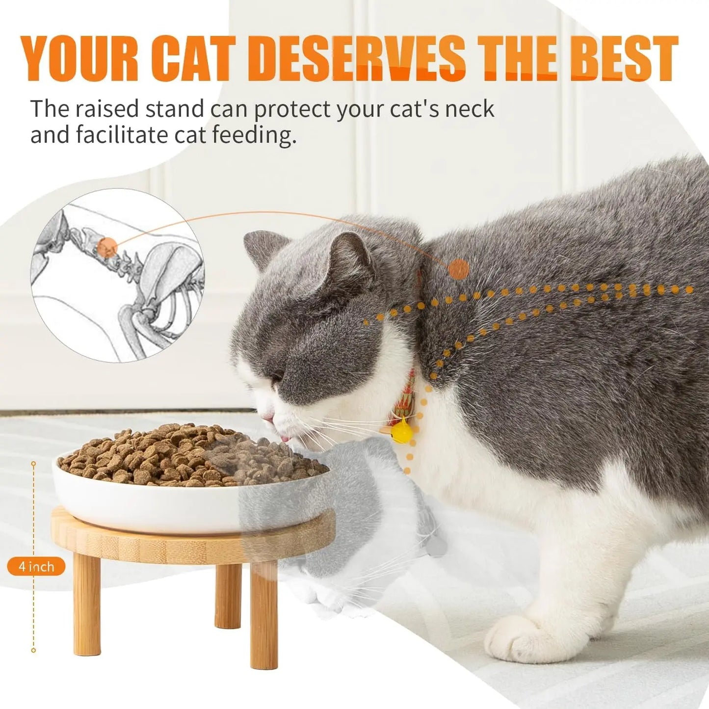 Elevated Ceramic Cat Bowls with Bamboo Stand, Whisker Friendly Pet Feeding, Dishes for Indoor Cats