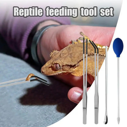 Reptile feeding tool set, efficient feeding, rubber head tweezers, feeding spoon, Reptile Accessories for geckos, bearded dragons