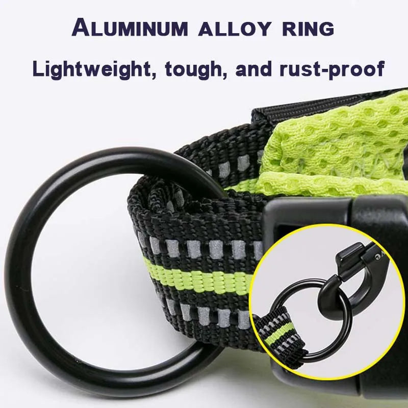 Dog Walking Collar Comfort Padded with Buckle Nylon