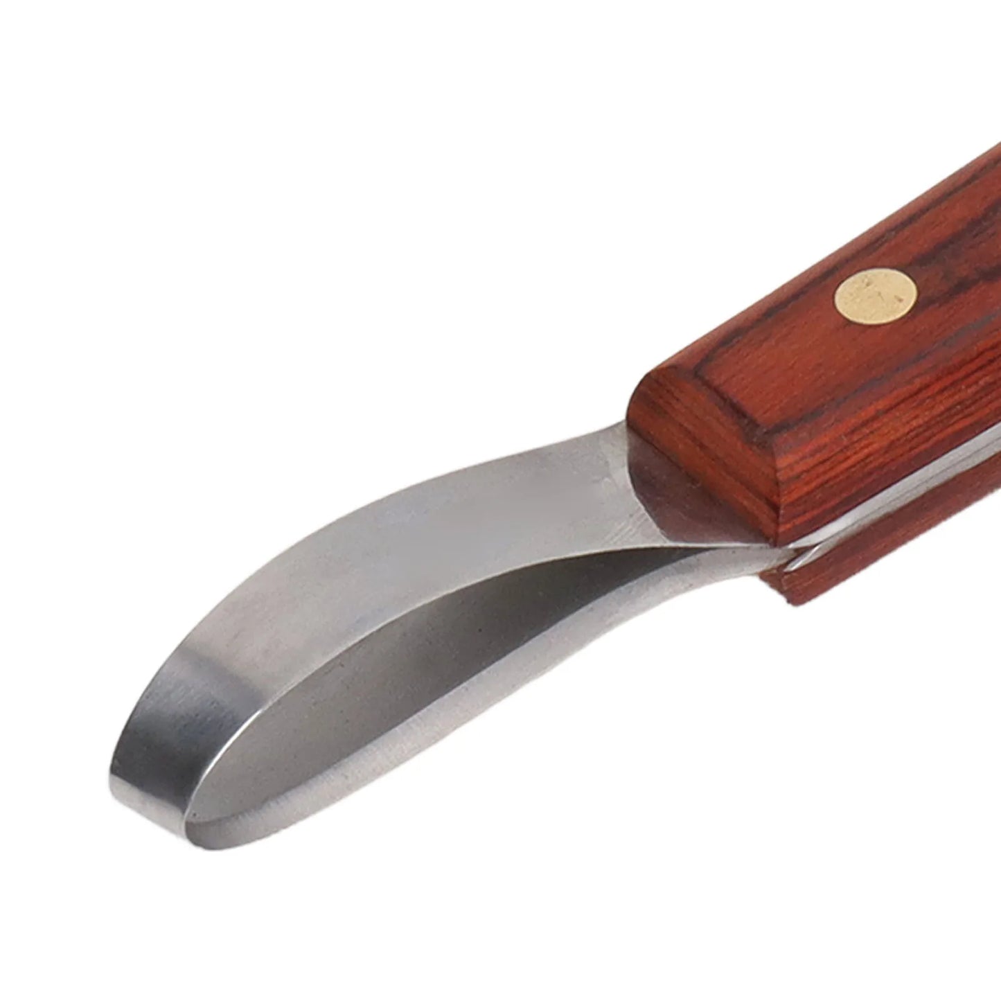 Horse Hoof Trimmer Shears, Stainless Steel Blade, Rubber Wood Handle, Multipurpose (Cattle and Horse Hoof Cutter)