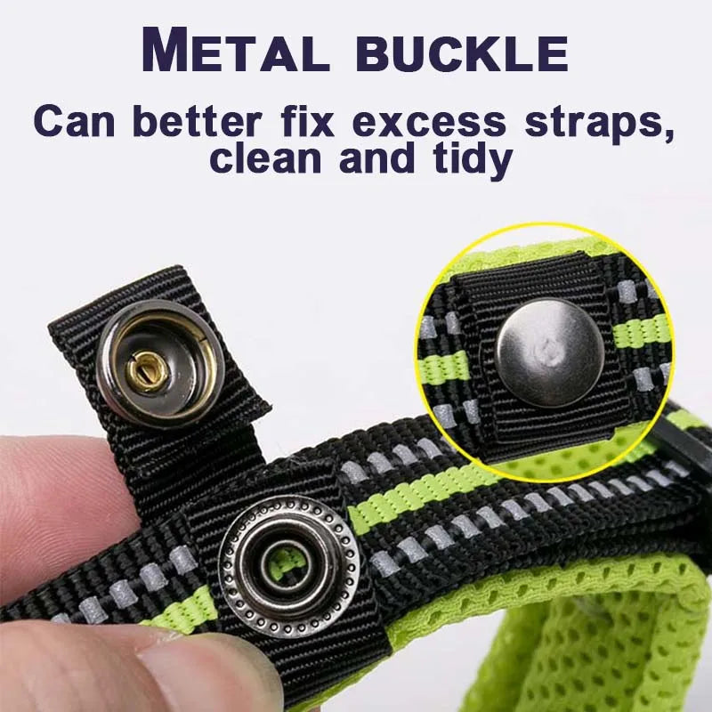 Dog Walking Collar Comfort Padded with Buckle Nylon