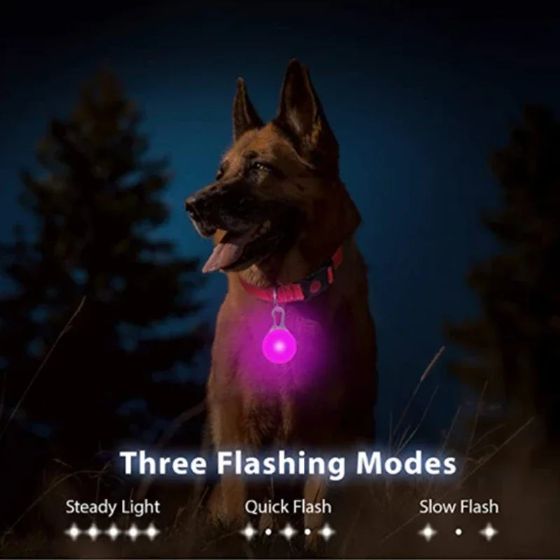 Usb Charging Glowing Dog Collar With Pendant Detachable , Luxury Led Light Bright For Small Dogs Night Safety Collar Wholesale