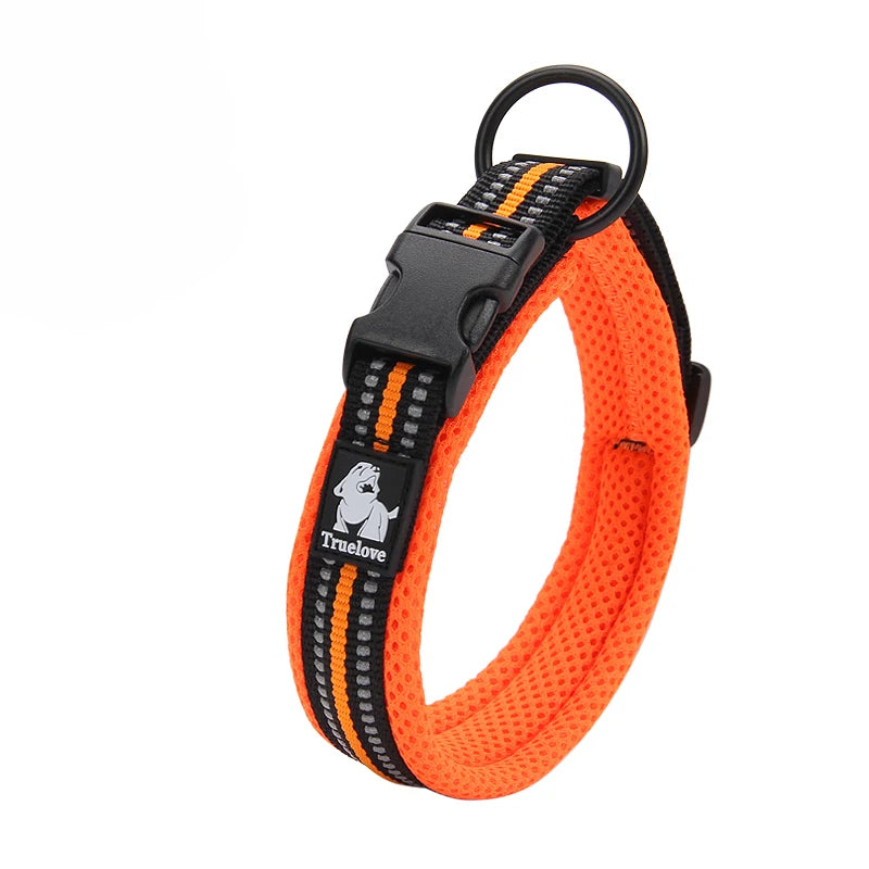 Dog Walking Collar Comfort Padded with Buckle Nylon