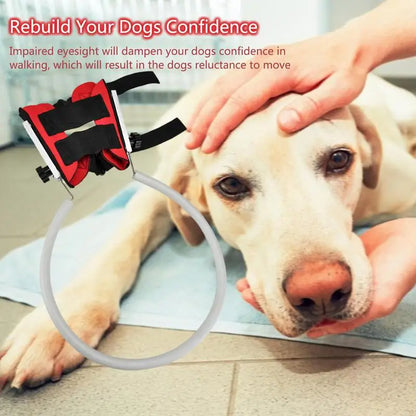 Blind Dog Anti-collision Collar, Protective Vest, Blind Dog Guiding Harness, Training Behavior