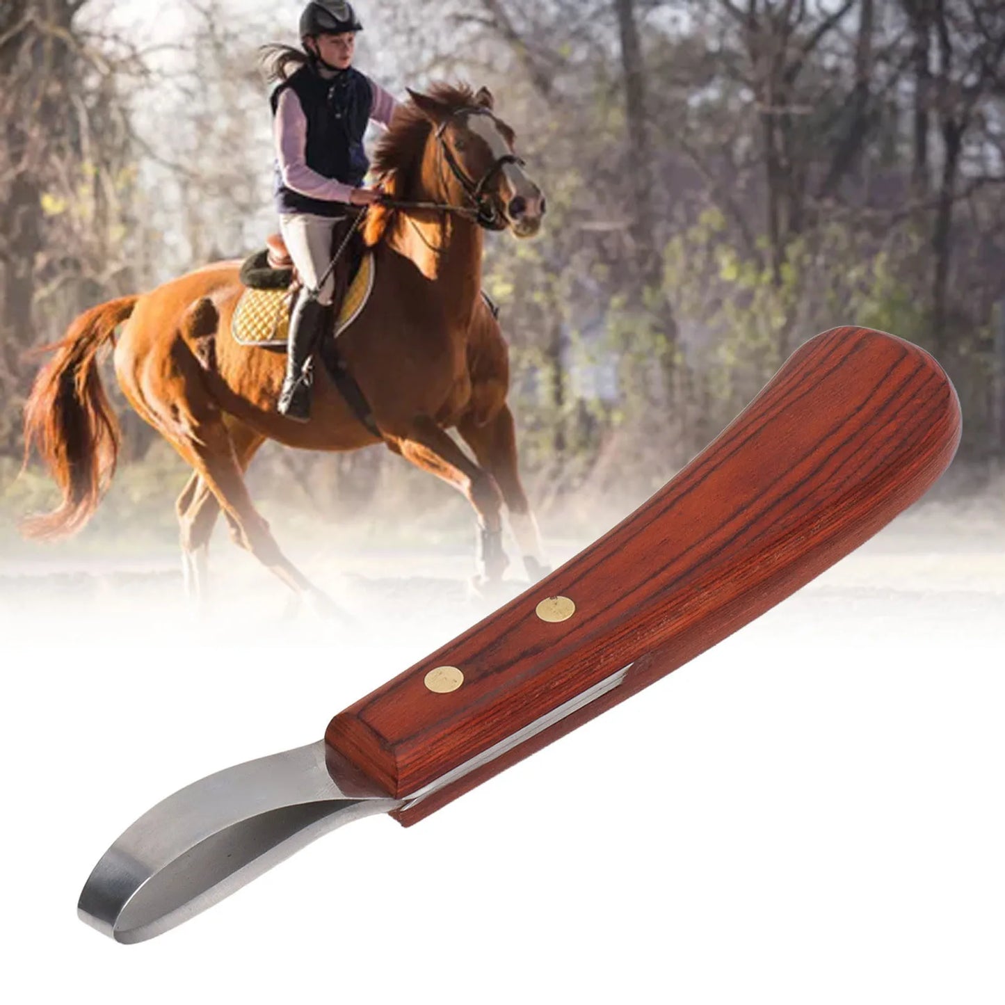 Horse Hoof Trimmer Shears, Stainless Steel Blade, Rubber Wood Handle, Multipurpose (Cattle and Horse Hoof Cutter)