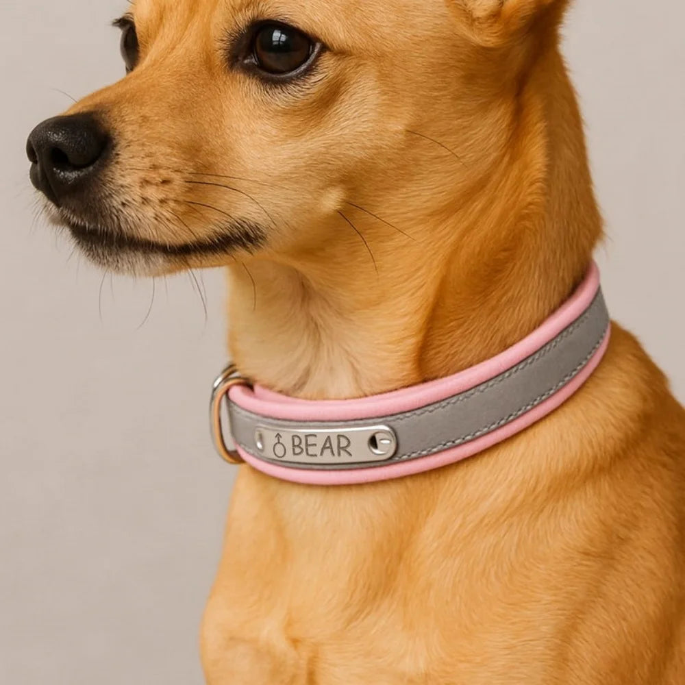 Custom Engraved Leather Dog Collar , Personalized with Name Phone Number, Adjustable Puppy for Medium Large Pet, Gift for Owner