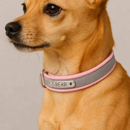 Custom Engraved Leather Dog Collar , Personalized with Name Phone Number, Adjustable Puppy for Medium Large Pet, Gift for Owner