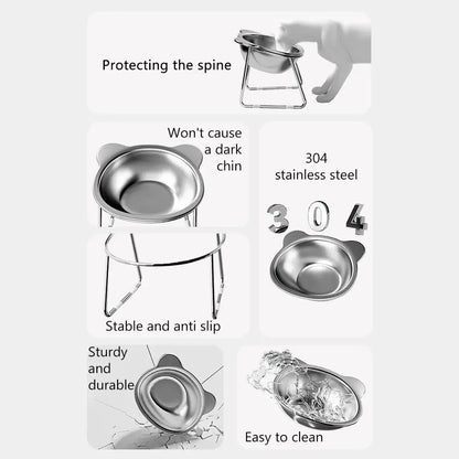 Stainless Steel Raised Cat Bowl with 15° Elevated Shatterproof for Cats and Puppies