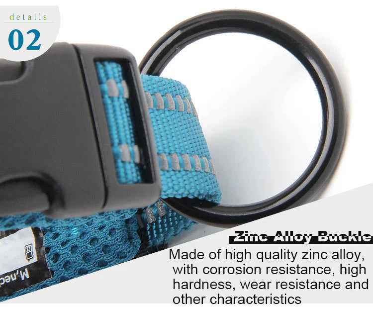 Dog Walking Collar Comfort Padded with Buckle Nylon