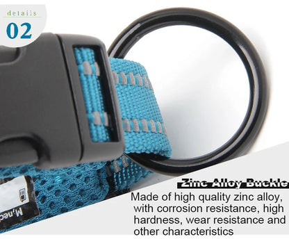 Dog Walking Collar Comfort Padded with Buckle Nylon