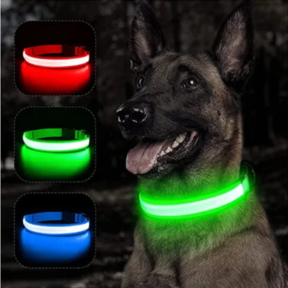 Usb Charging Glowing Dog Collar With Pendant Detachable , Luxury Led Light Bright For Small Dogs Night Safety Collar Wholesale