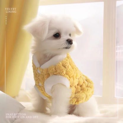 Winter Pet Vest Jacket for cats and small dogs