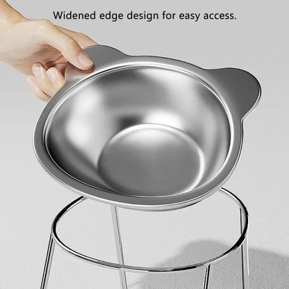 Stainless Steel Raised Cat Bowl with 15° Elevated Shatterproof for Cats and Puppies