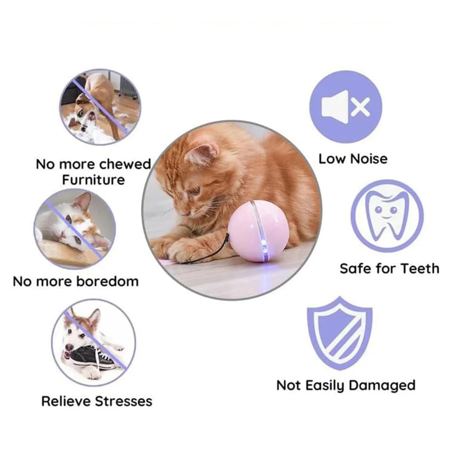 USB Rechargeable Cat Ball for a Kitten