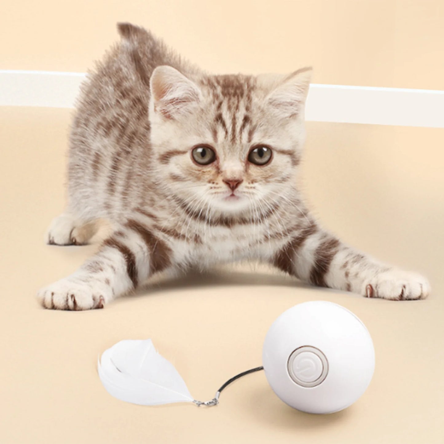 USB Rechargeable Cat Ball for a Kitten