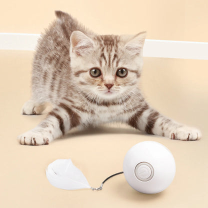USB Rechargeable Cat Ball for a Kitten