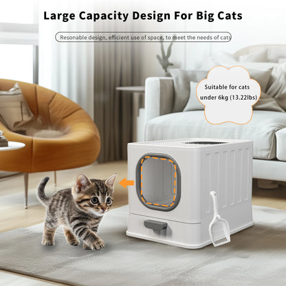 Cat Litter Box with Lid, Enclosed Cat Potty, Top Entry Anti-Splashing,  Easy to Clean with Cat Litter Scoop