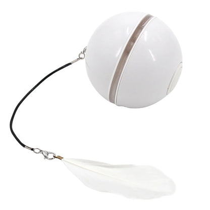 USB Rechargeable Cat Ball for a Kitten