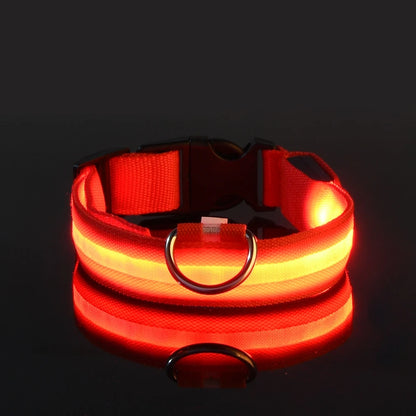 Nylon LED Night Safety Flashing Dog Leash, Glow in The Dark Luminous Fluorescent Pet Collar for Dogs